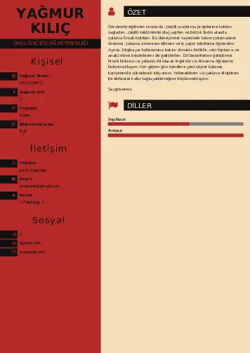 Okul Öncesi Öğretmeni Öğretmenliği Cv Örnekleri cv indir